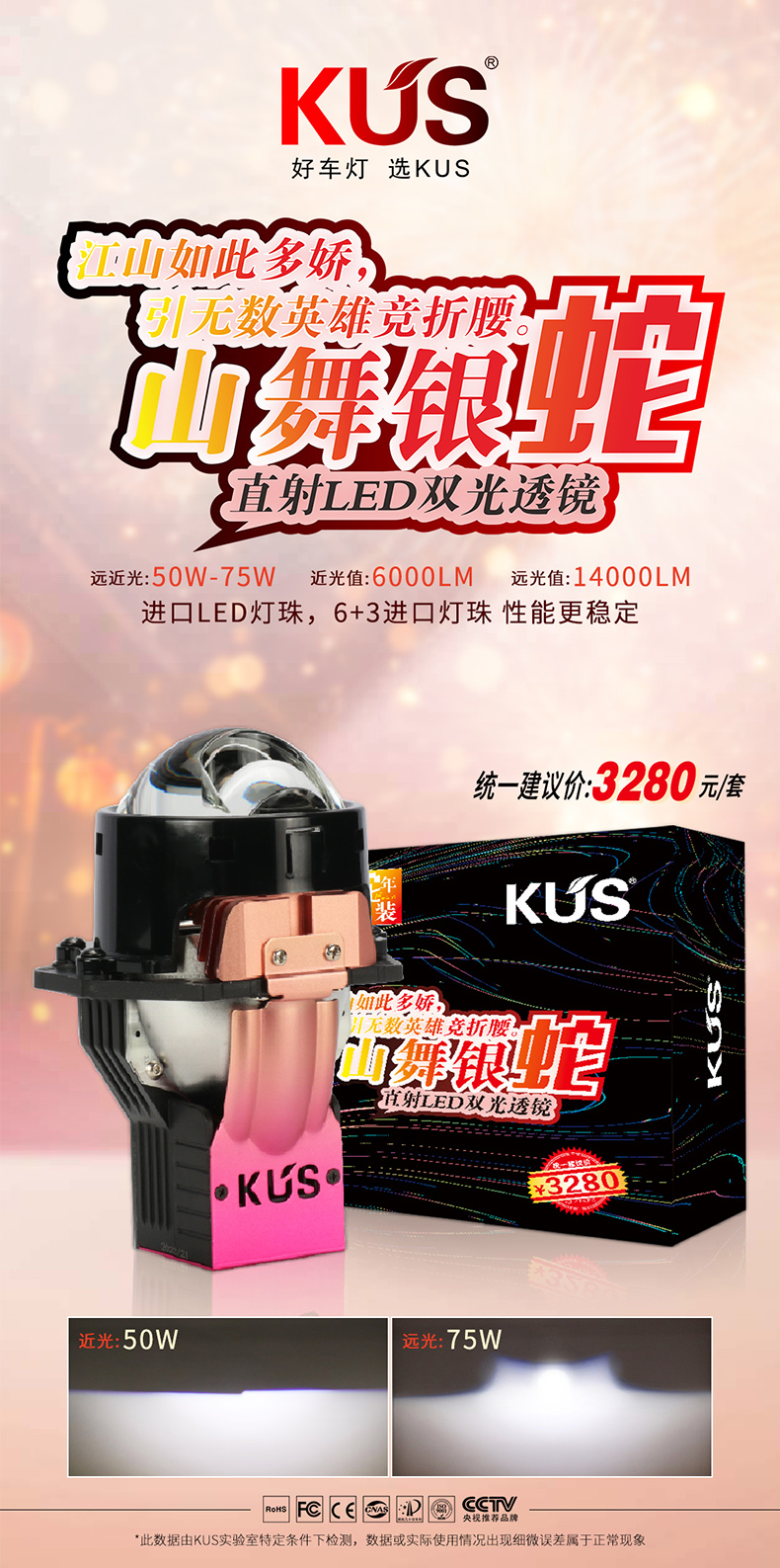 山舞银蛇-直射LED(1).jpg